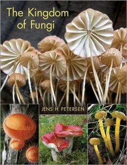 Bertrand.pt - The Kingdom Of Fungi