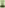 The Kingdom Suffereth Violence Â€“ The Machiavelli / Erasmus / More Correspondence And Other Unpublished Documents