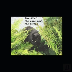 Bertrand.pt - The Kiwi The Cats And The Kitten