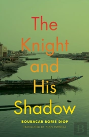 The Knight And His Shadow