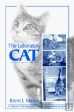 Bertrand.pt - The Laboratory Cat