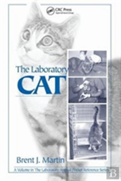 Bertrand.pt - The Laboratory Cat