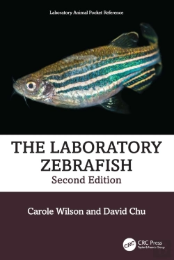Bertrand.pt - The Laboratory Zebrafish