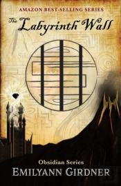 The Labyrinth Wall