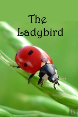 Bertrand.pt - The Ladybird