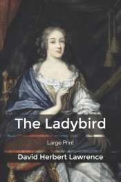 The Ladybird