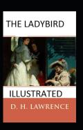 The Ladybird Illustrated