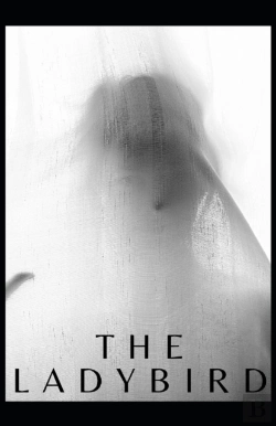 Bertrand.pt - The Ladybird