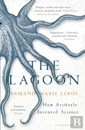 The Lagoon