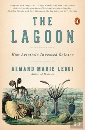 The Lagoon