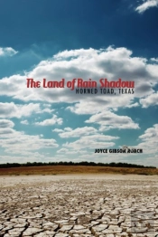 The Land Of Rain Shadow