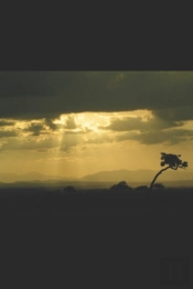 The Land Where The Quetzal Flies