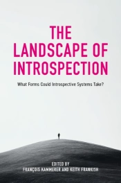 The Landscape Of Introspection