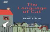The Language Of Cat