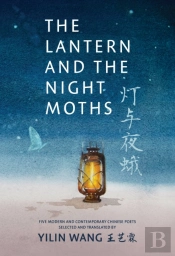 The Lantern And The Night Moths