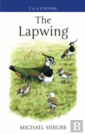 The Lapwing