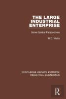 The Large Industrial Enterprise