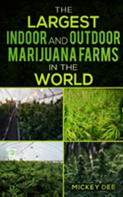 The Largest Indoor And Outdoor Marijuana Farms In The World