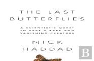 The Last Butterflies