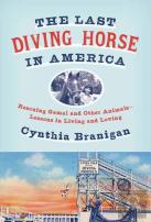 The Last Diving Horse In America