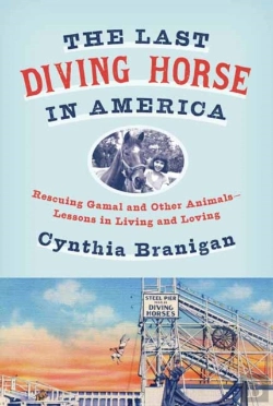 Bertrand.pt - The Last Diving Horse In America