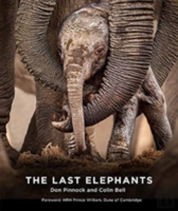Bertrand.pt - The Last Elephants