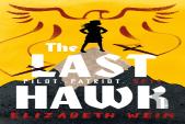 The Last Hawk