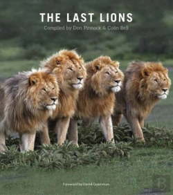 Bertrand.pt - The Last Lions