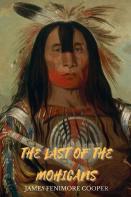 The Last Of The Mohicans