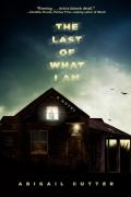 The Last Of What I Am