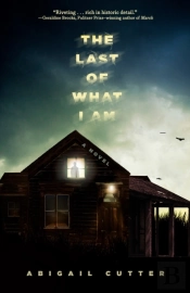 The Last Of What I Am