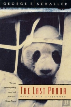 Bertrand.pt - The Last Panda