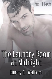 The Laundry Room At Midnight