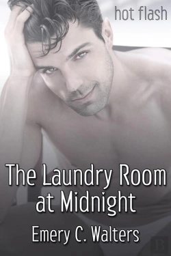 Bertrand.pt - The Laundry Room At Midnight