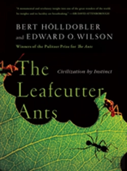 Bertrand.pt - The Leafcutter Ants