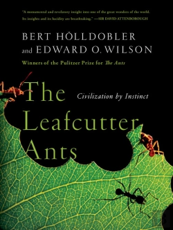 Bertrand.pt - The Leafcutter Ants