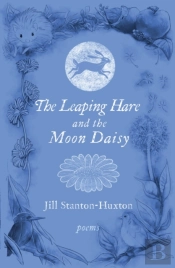 The Leaping Hare And The Moon Daisy