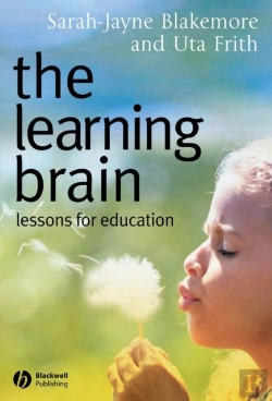 Bertrand.pt - The Learning Brain
