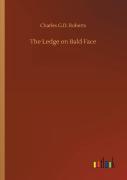 The Ledge On Bald Face