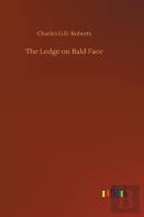 The Ledge On Bald Face