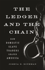 The Ledger And The Chain