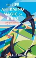 The Life-Affirming Magic Of Birds