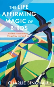 The Life-Affirming Magic Of Birds