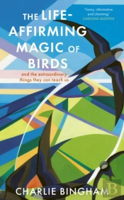 The Life-Affirming Magic Of Birds