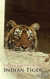 The Life And Fate Of The Indian Tiger