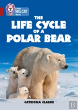 Bertrand.pt - The Life Cycle Of A Polar Bear