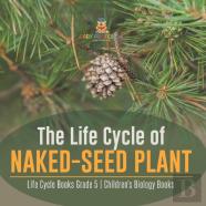 The Life Cycle Of Naked-Seed Plant | Life Cycle Books Grade 5 | Children'S Biology Books