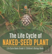 The Life Cycle Of Naked-Seed Plant | Life Cycle Books Grade 5 | Children'S Biology Books