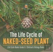The Life Cycle Of Naked-Seed Plant | Life Cycle Books Grade 5 | Children'S Biology Books
