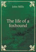 The Life Of A Foxhound